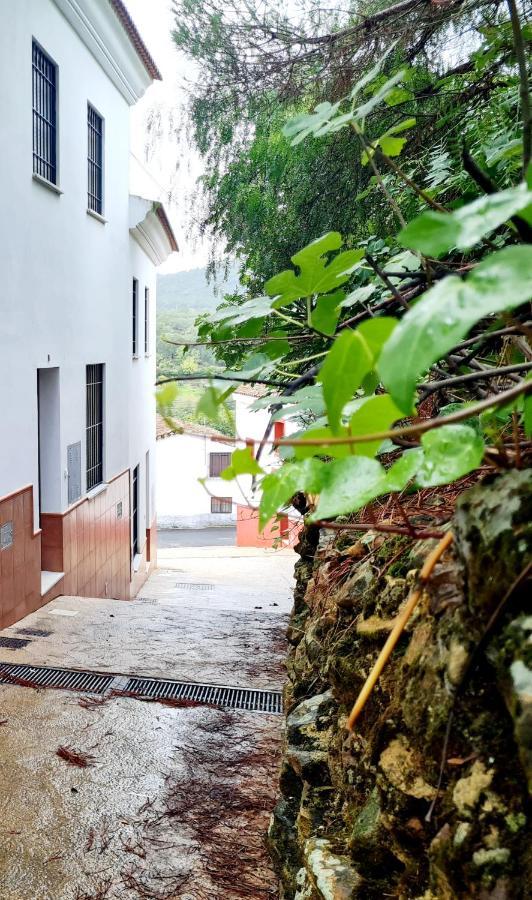 Villa La Casa Junto Al Sendero Del Rio & Piscina # Aire Acondicionado Los Romeros Exterior foto